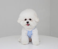 画像をギャラリービューアに読み込む, ペイズリーフリルシャツ sky