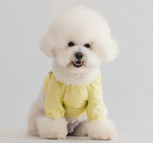 画像をギャラリービューアに読み込む, チェックボリュームブラウス yellow