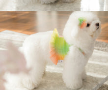 画像をギャラリービューアに読み込む, レインボーキャンディクロップトップス