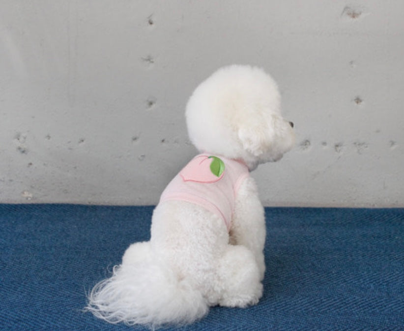 フルーツワッペンタンクトップ pink – corona dog lifestyle