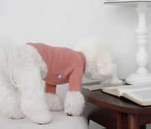 画像をギャラリービューアに読み込む, カラーリブトップス pink