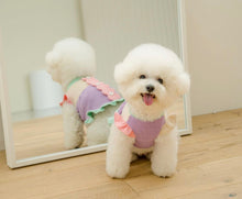 画像をギャラリービューアに読み込む, ピクニックニット Pastel