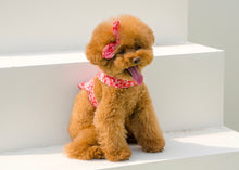 画像をギャラリービューアに読み込む, バンダナペイズリートップス red