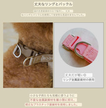 画像をギャラリービューアに読み込む, everyday collar