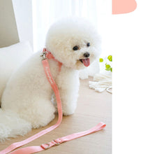 画像をギャラリービューアに読み込む, everyday lead