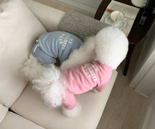 画像をギャラリービューアに読み込む, favorite jogger pants indi pink