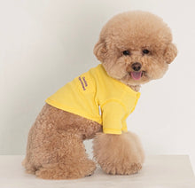 画像をギャラリービューアに読み込む, ワッフルトップス yellow