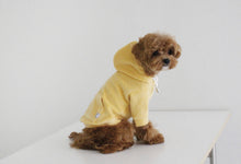 画像をギャラリービューアに読み込む, 予約 tropical velours hoodie honey deep