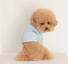 画像をギャラリービューアに読み込む, ワッフルトップス Blue