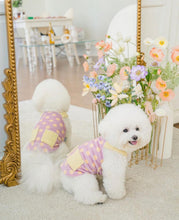 画像をギャラリービューアに読み込む, ドットファートップス