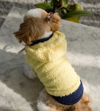 画像をギャラリービューアに読み込む, グリッターフリース yellow