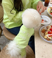 画像をギャラリービューアに読み込む, triptrainer adult