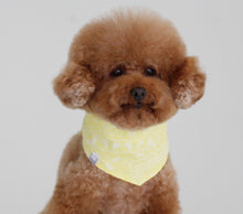 画像をギャラリービューアに読み込む, ペイズリーバンダナ