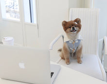 画像をギャラリービューアに読み込む, MILDPADDINGJUMPER Blue