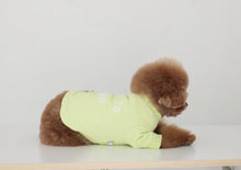 画像をギャラリービューアに読み込む, vacation tops lime