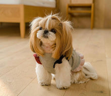 画像をギャラリービューアに読み込む, ピクニックニット vivid