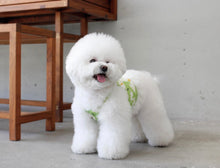 画像をギャラリービューアに読み込む, フラワーキャミソール green