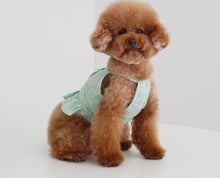 画像をギャラリービューアに読み込む, ペイズリーフリルシャツ mint