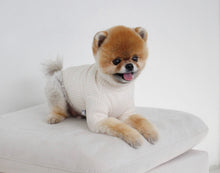 画像をギャラリービューアに読み込む, カラーリブトップス White