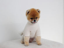 画像をギャラリービューアに読み込む, カラーリブトップス White