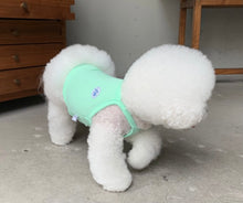 画像をギャラリービューアに読み込む, ネオンキャミソール mint