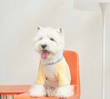 画像をギャラリービューアに読み込む, パッチワークパステルTシャツ yellow
