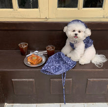 画像をギャラリービューアに読み込む, ペイズリーハット 大人用 8色