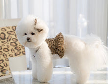 画像をギャラリービューアに読み込む, レオパードキャミソール brown