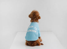 画像をギャラリービューアに読み込む, EUROPE tops LONDON