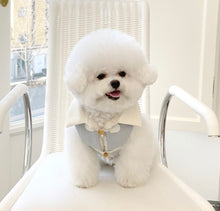 画像をギャラリービューアに読み込む, MILDPADDINGJUMPER Blue