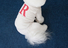 画像をギャラリービューアに読み込む, Rロゴトップス oatmeal