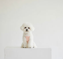 画像をギャラリービューアに読み込む, 恐竜キャミソール帽子セット pink