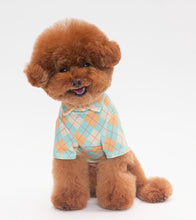 画像をギャラリービューアに読み込む, チェックカラートップス Orange