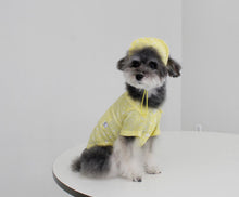 画像をギャラリービューアに読み込む, ペイズリーシャツ yellow