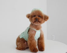 画像をギャラリービューアに読み込む, ペイズリーフリルシャツ mint