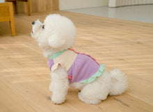 画像をギャラリービューアに読み込む, ピクニックニット Pastel