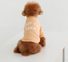 画像をギャラリービューアに読み込む, EUROPE tops PARIS