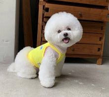 画像をギャラリービューアに読み込む, ネオンキャミソール yellow