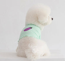 画像をギャラリービューアに読み込む, ベジタブルメローカーディガン mint