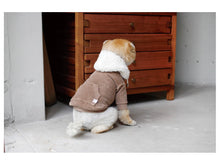 画像をギャラリービューアに読み込む, BOA zip hoodie brown