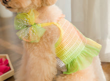 画像をギャラリービューアに読み込む, レインボーキャンディクロップトップス