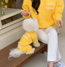 画像をギャラリービューアに読み込む, triptrainer adult