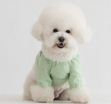 画像をギャラリービューアに読み込む, チェックボリュームブラウス green