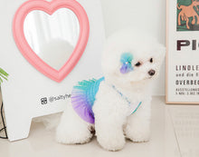 画像をギャラリービューアに読み込む, レインボーキャンディクロップトップス