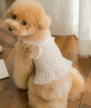 画像をギャラリービューアに読み込む, キャンディクロップトップス