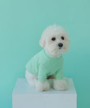 画像をギャラリービューアに読み込む, DOG lovers trainer baby mint