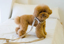 画像をギャラリービューアに読み込む, everyday lead