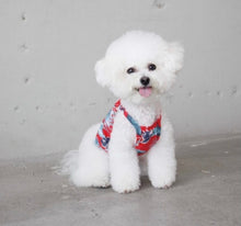 画像をギャラリービューアに読み込む, ボタニカルキャミソール red