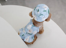 画像をギャラリービューアに読み込む, フラワーハット Blue