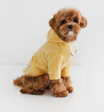 画像をギャラリービューアに読み込む, 予約 tropical velours hoodie honey deep